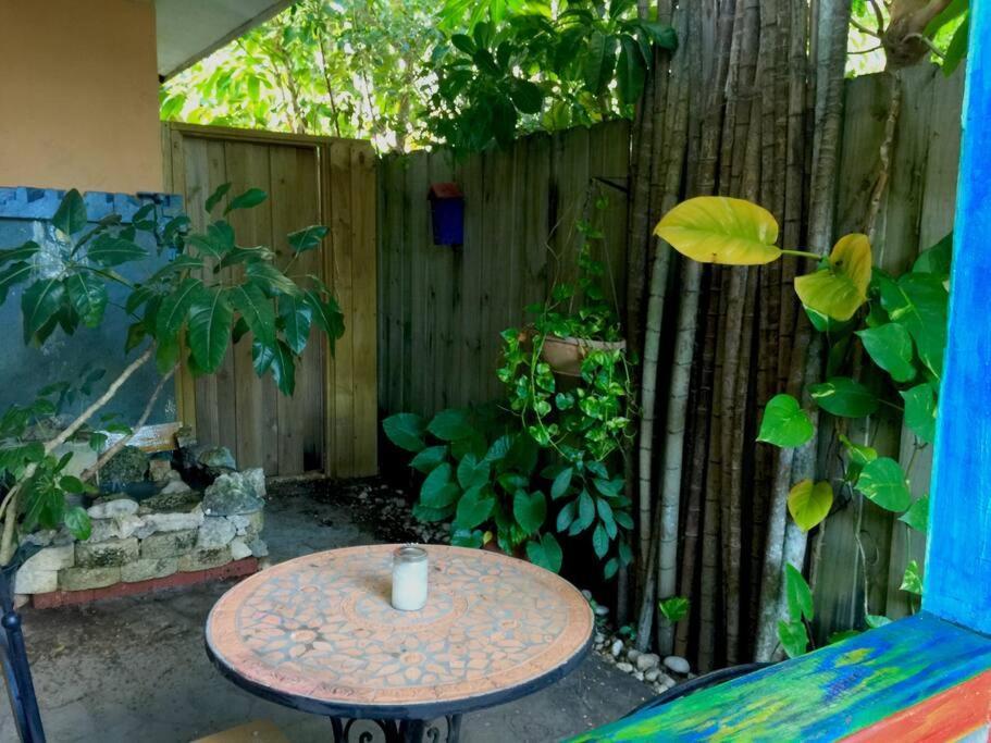 Miami Bungalow Oasis Near Everglades & The Keys 卡特勒里奇 外观 照片