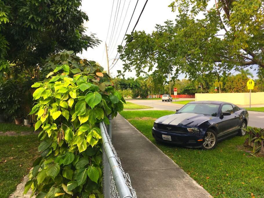 Miami Bungalow Oasis Near Everglades & The Keys 卡特勒里奇 外观 照片
