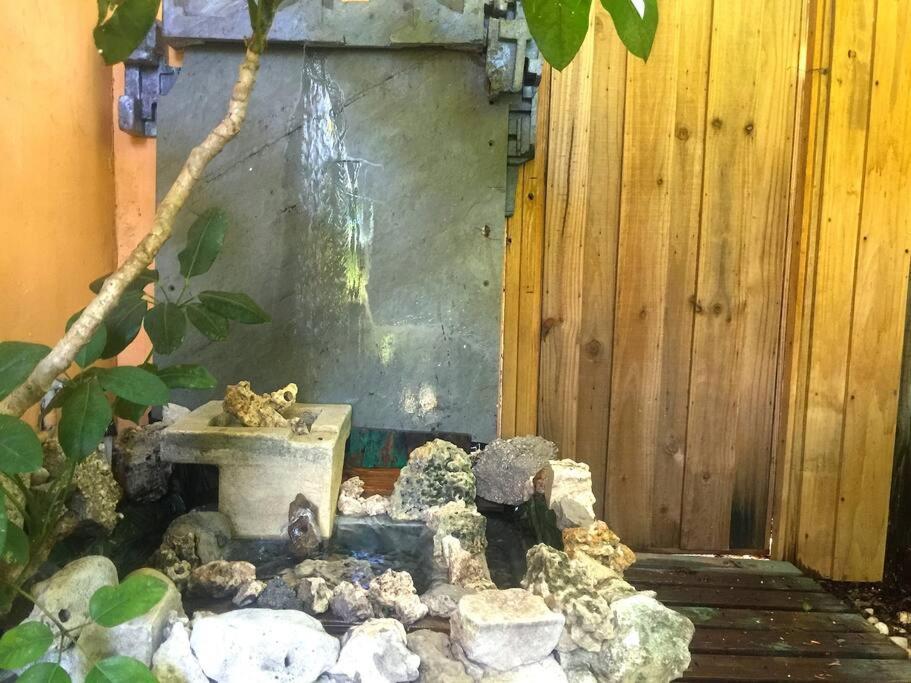 Miami Bungalow Oasis Near Everglades & The Keys 卡特勒里奇 外观 照片