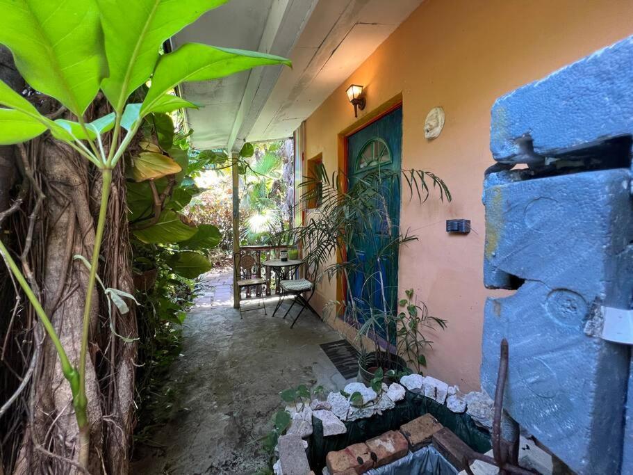 Miami Bungalow Oasis Near Everglades & The Keys 卡特勒里奇 外观 照片