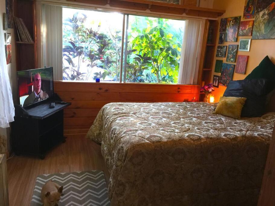 Miami Bungalow Oasis Near Everglades & The Keys 卡特勒里奇 外观 照片