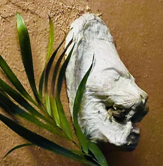 Miami Bungalow Oasis Near Everglades & The Keys 卡特勒里奇 外观 照片