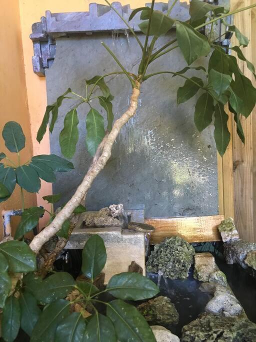 Miami Bungalow Oasis Near Everglades & The Keys 卡特勒里奇 外观 照片
