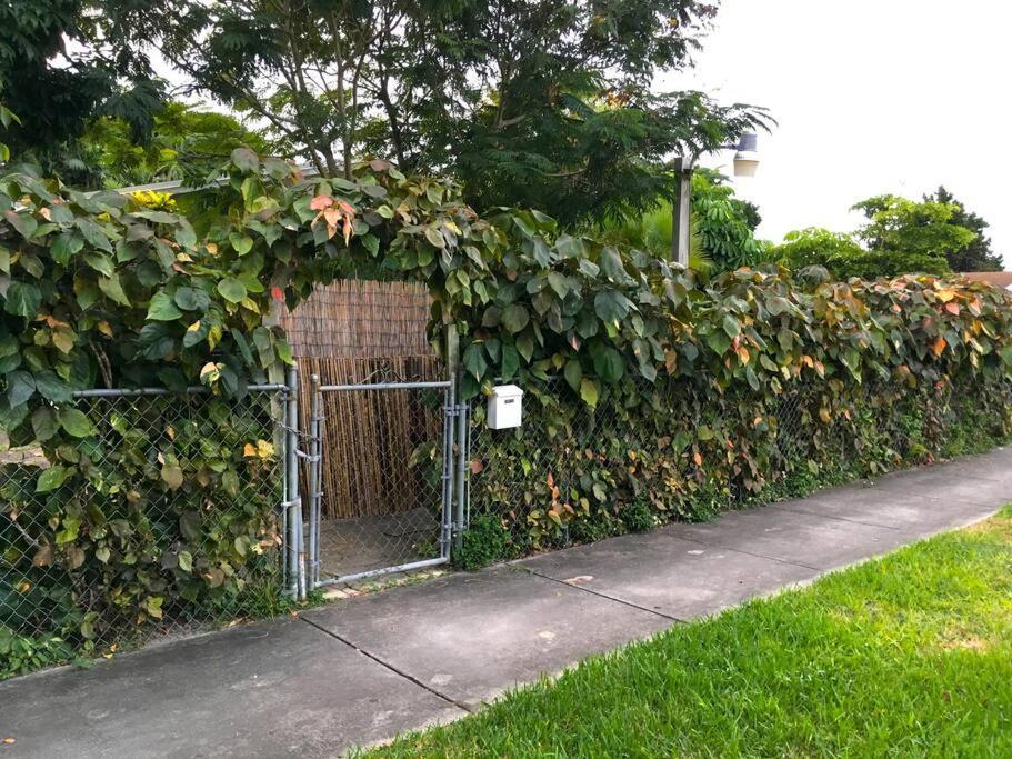 Miami Bungalow Oasis Near Everglades & The Keys 卡特勒里奇 外观 照片