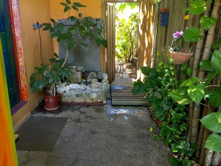 Miami Bungalow Oasis Near Everglades & The Keys 卡特勒里奇 外观 照片